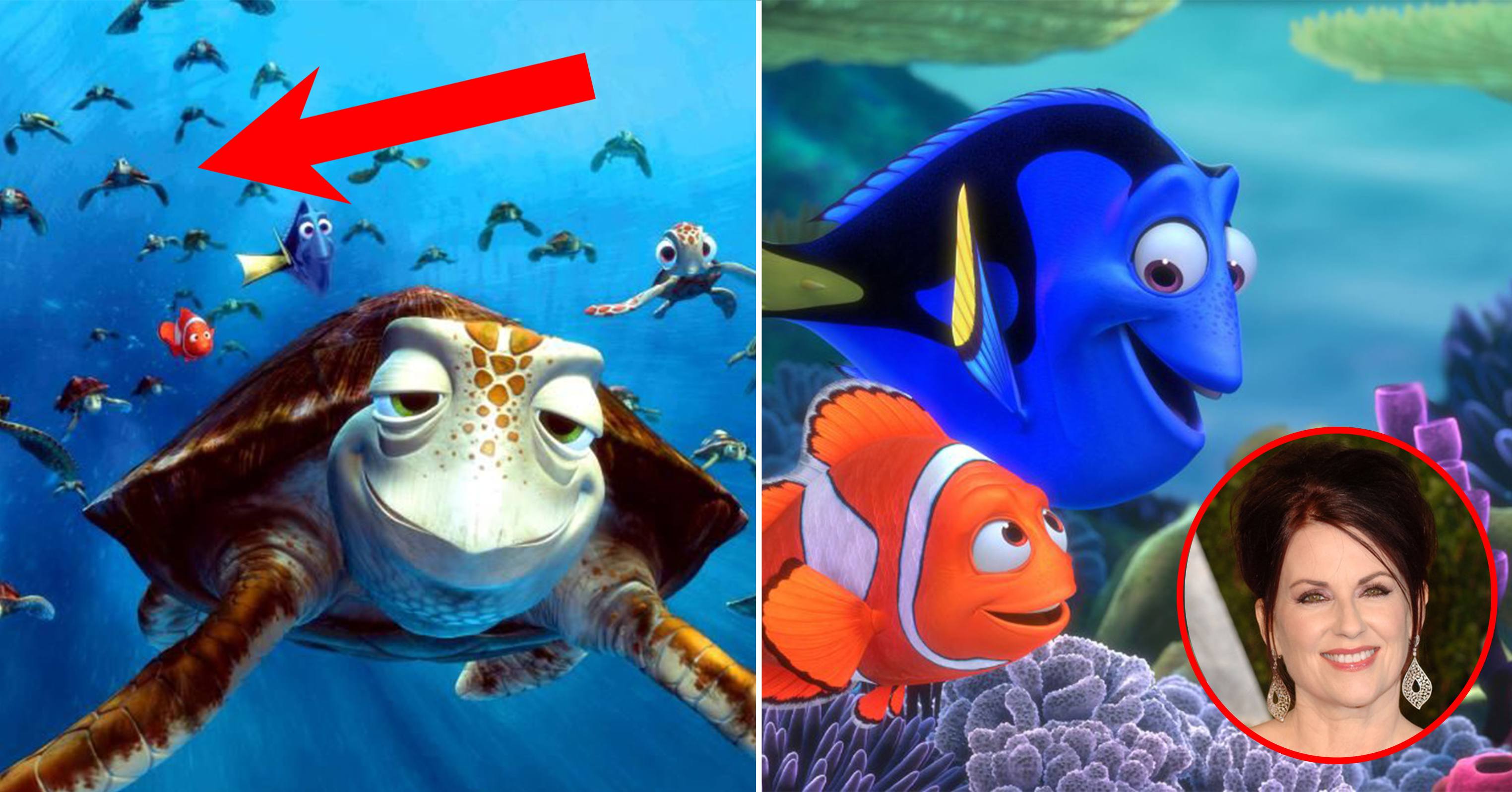 30 Things You Didn T Know About Finding Nemo