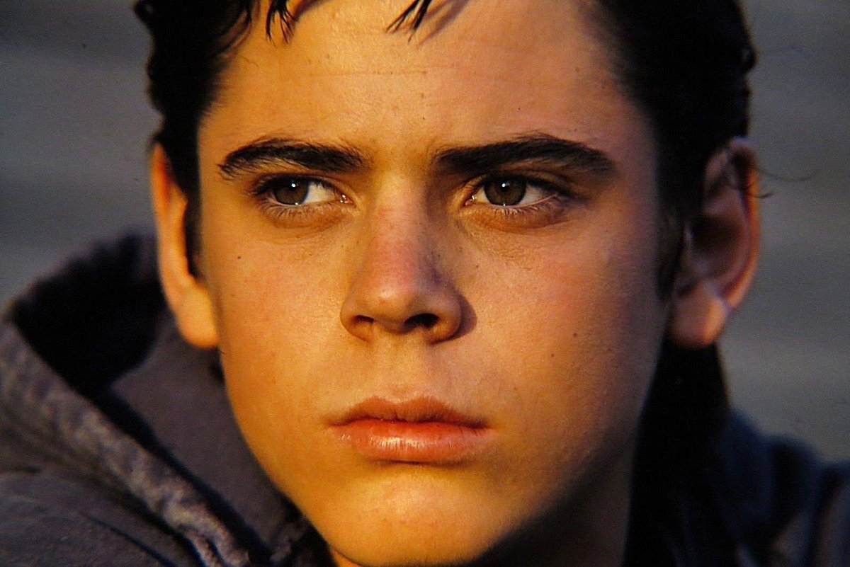 Who Played Ponyboy Curtis In The Outsiders Where Is He Now 