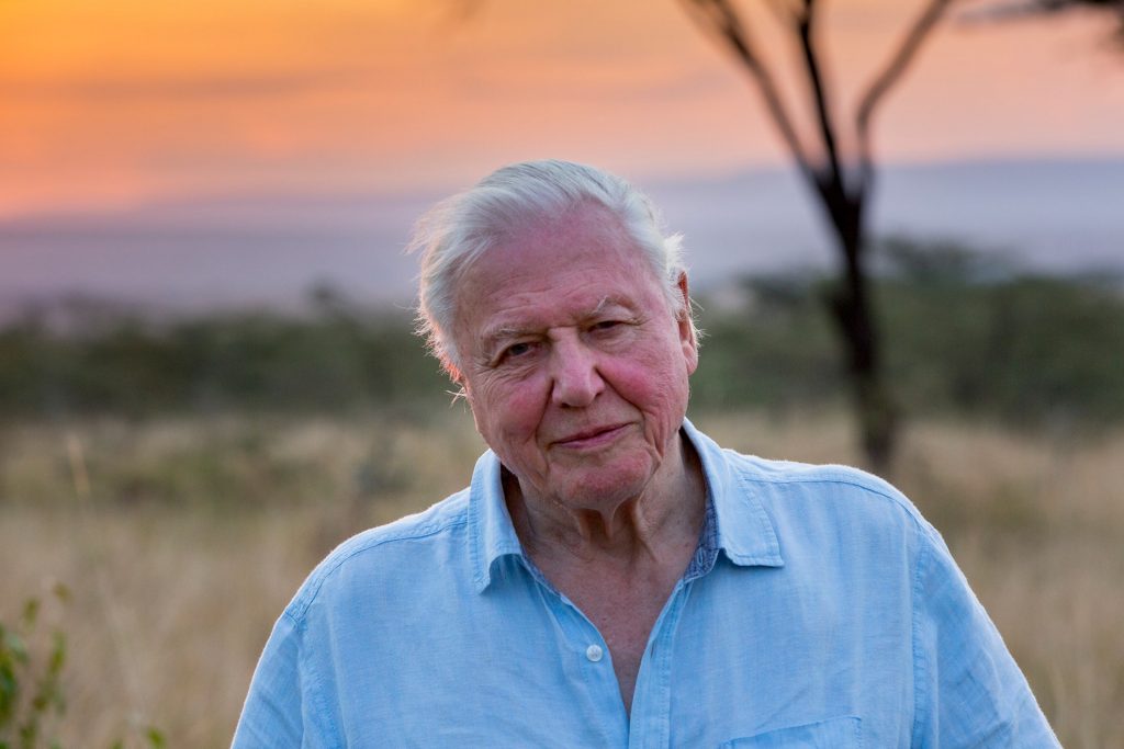 70 Years In The Field: Everything You Never Knew About Sir David