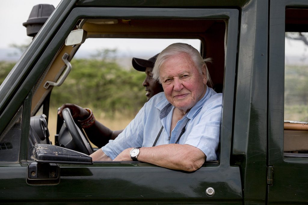 70 Years In The Field: Everything You Never Knew About Sir David