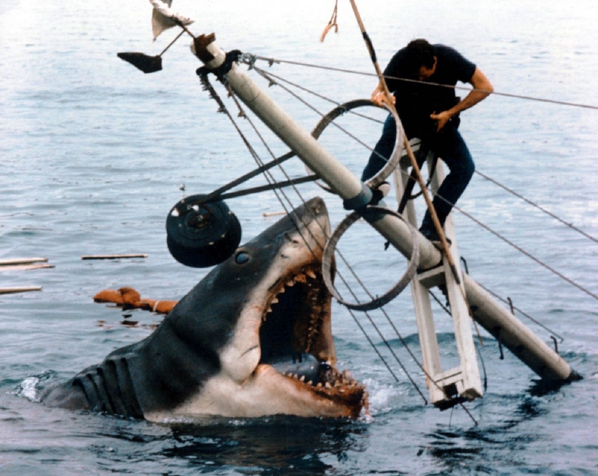 Jaws' Trivia: 20 Facts You Might Not Know About the Movie