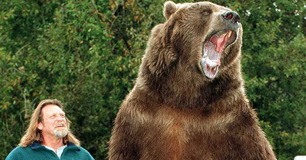 Bart the Bear - Biography - IMDb